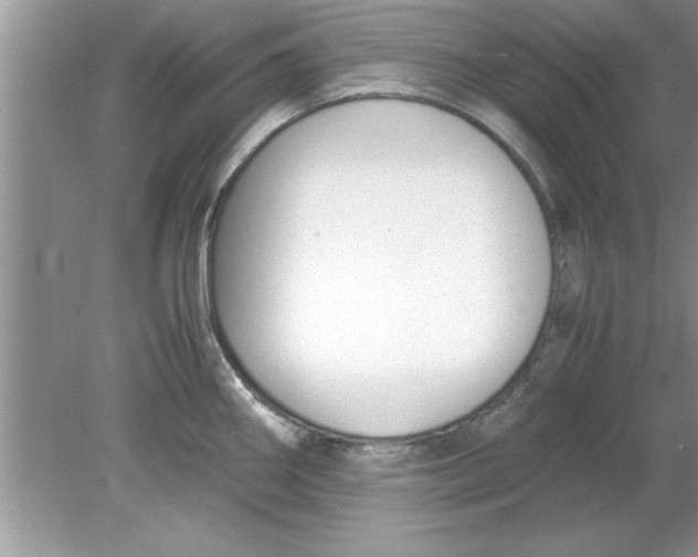 X0000078881290200612042014