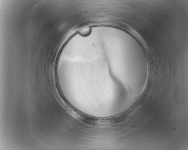 X0000078881291200612042014