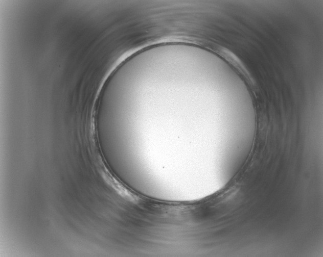 X0000078881292200612042014