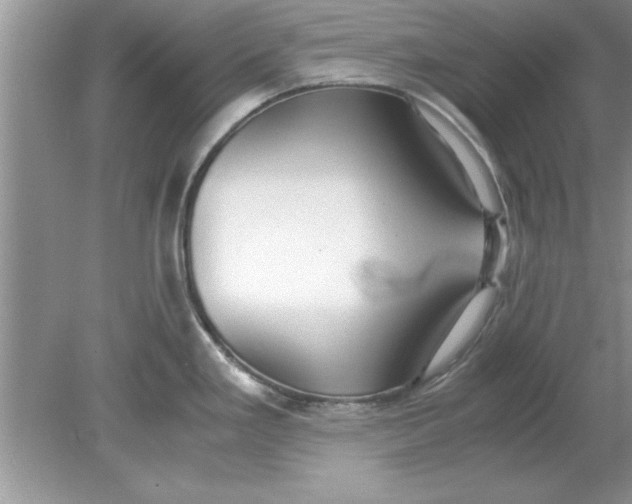 X0000078881293200612042014