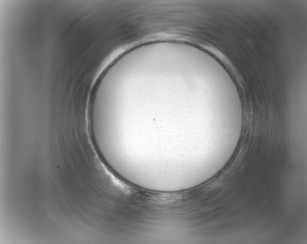 X0000078881294200612042014