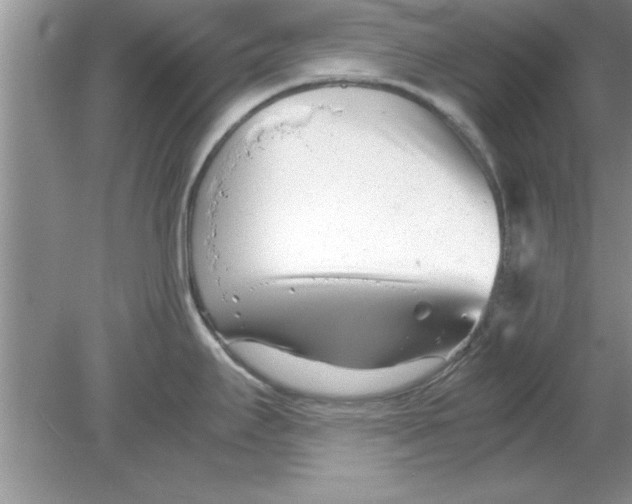 X0000078881295200612042014