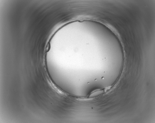 X0000078881296200612042014