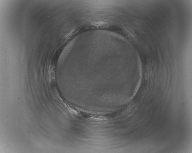 X0000078881298200612042013