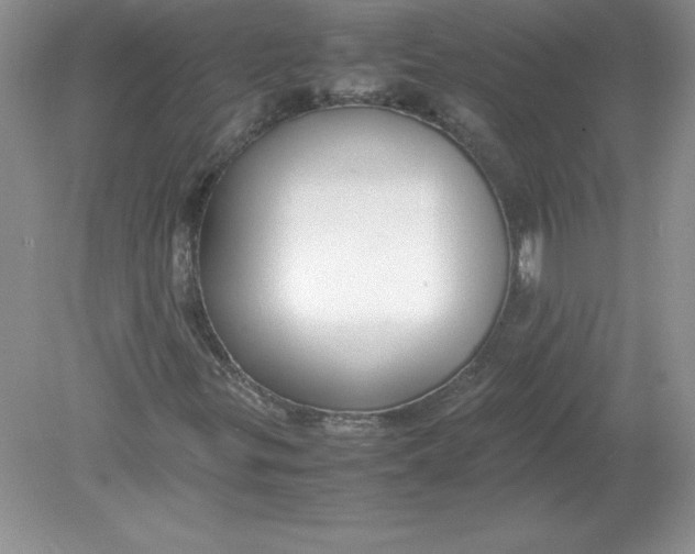 X0000078881299200612042013