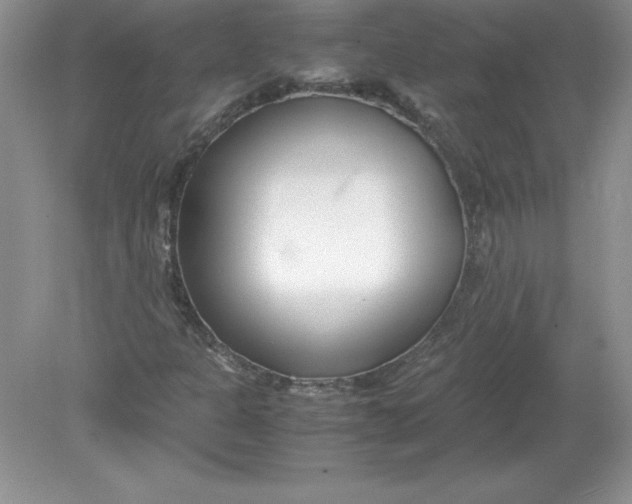 X0000078881301200612042013