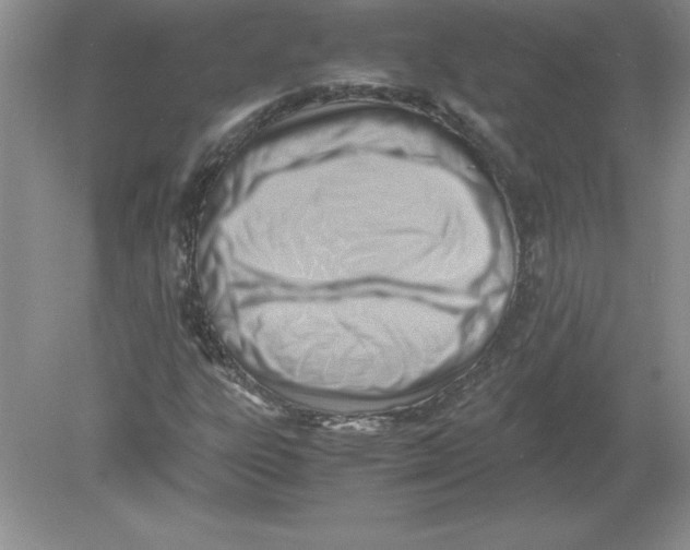 X0000078881303200612042013