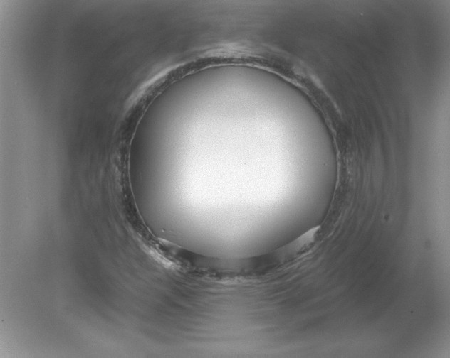 X0000078881304200612042014