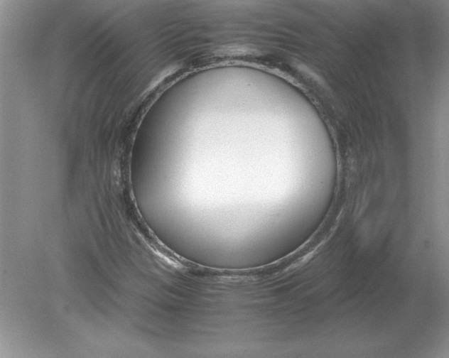 X0000078881305200612042014