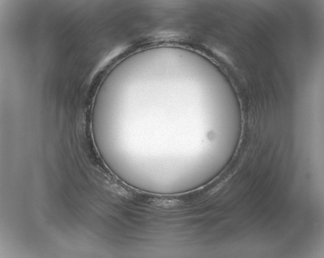 X0000078881309200612042014