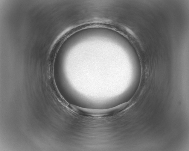 X0000078881310200612042014