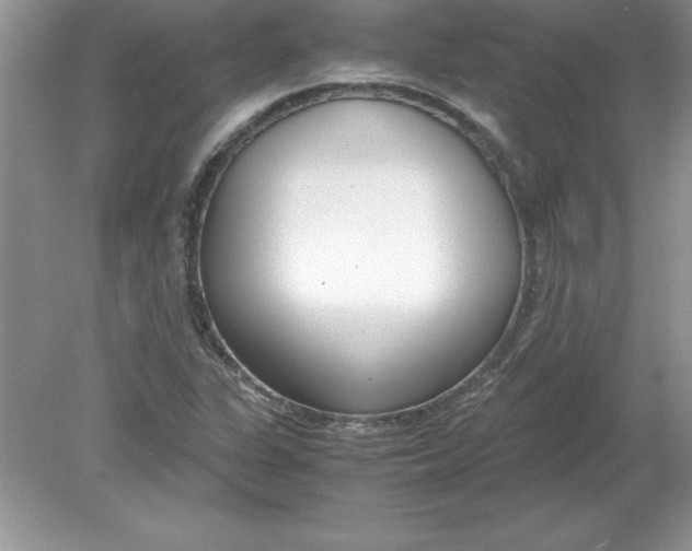 X0000078881311200612042014