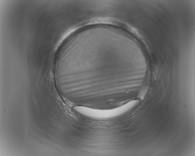 X0000078881312200612042014