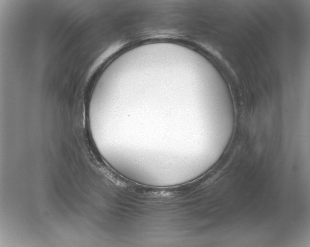 X0000078881317200612042014