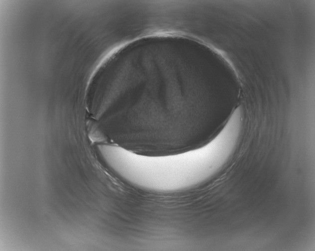 X0000078881319200612042014