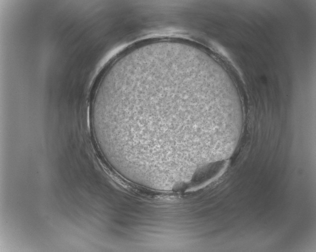 X0000078881320200612042014