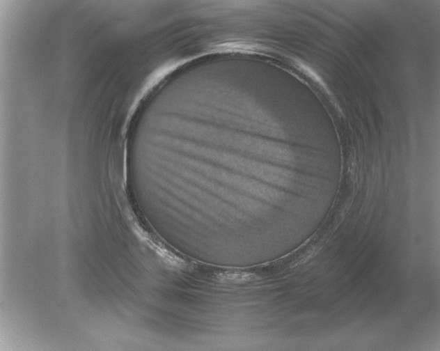 X0000078881323200612042014