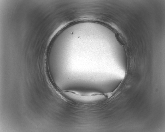 X0000078881325200612042014