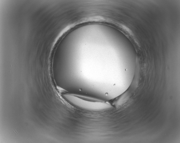 X0000078881326200612042014