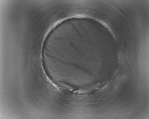 X0000078881327200612042014