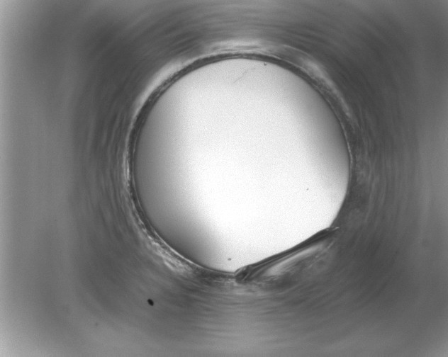 X0000078881328200612042014