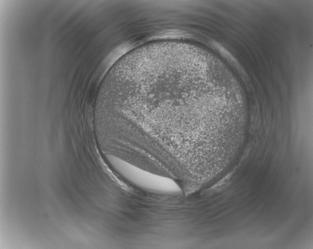 X0000078881329200612042014