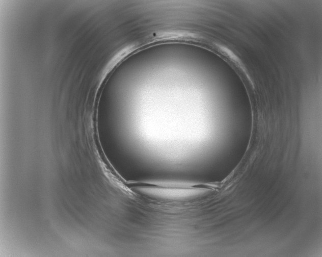 X0000078881330200612042014