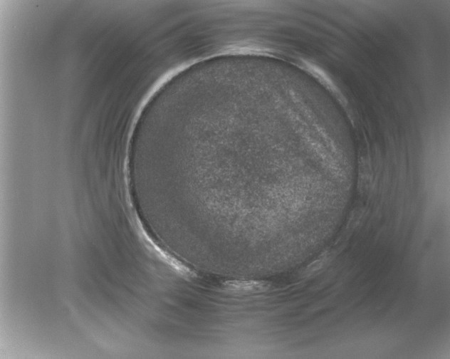 X0000078881331200612042014