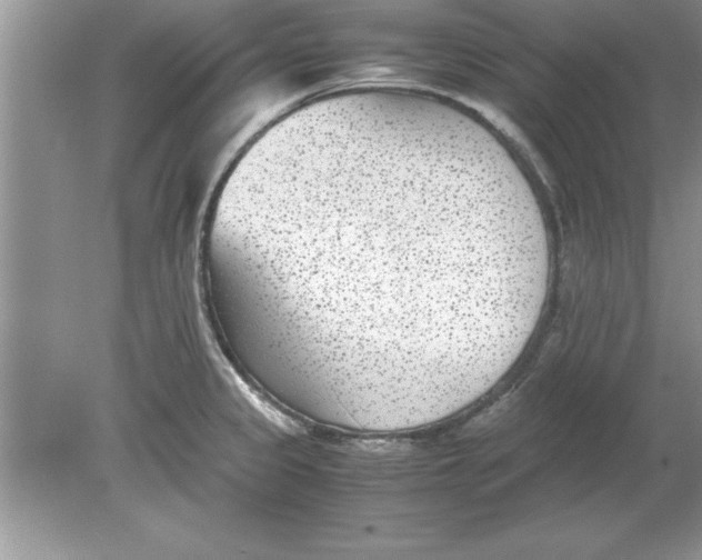 X0000078881333200612042014