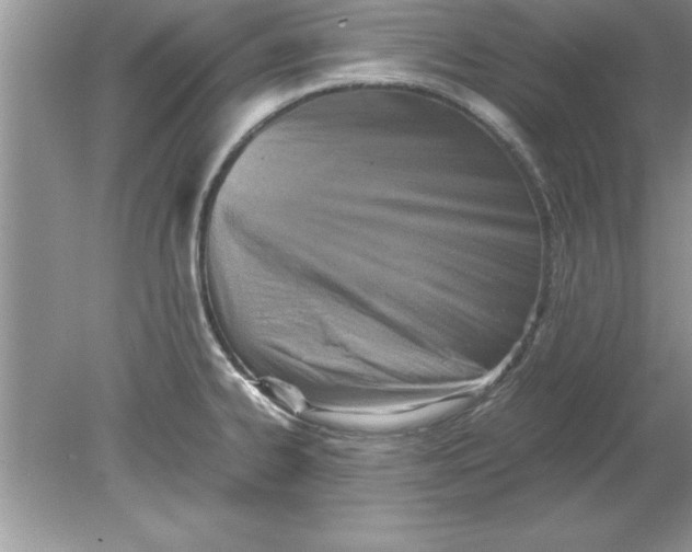 X0000078881334200612042014