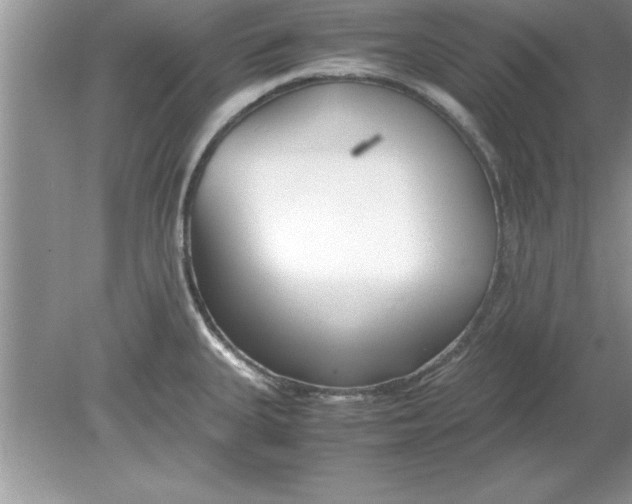 X0000078881335200612042014