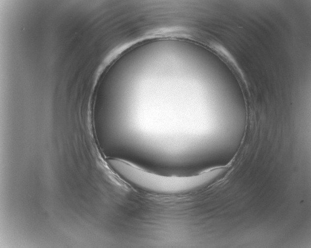 X0000078881336200612042014