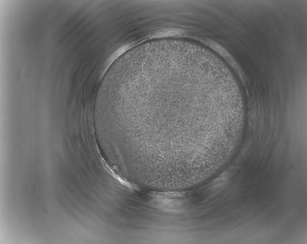 X0000078881337200612042014