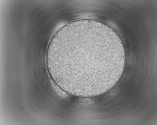 X0000078881338200612042014