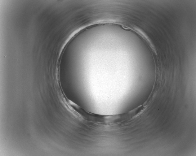 X0000078881340200612042014