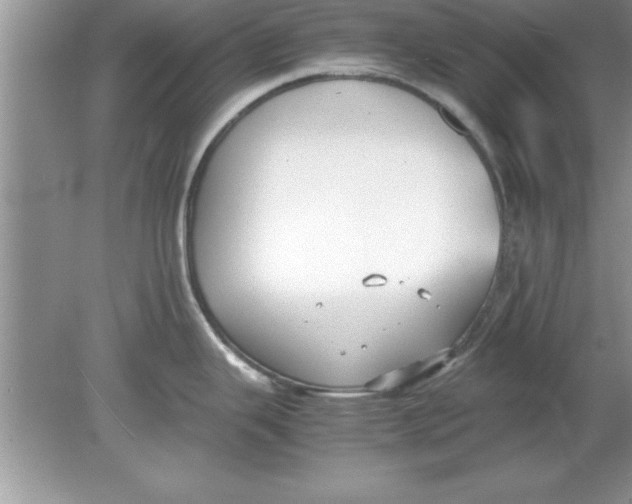 X0000078881343200612042014