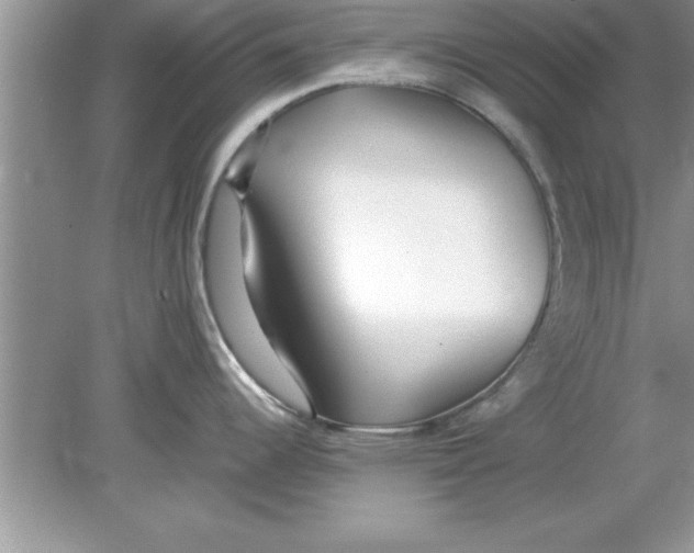 X0000078881344200612042014