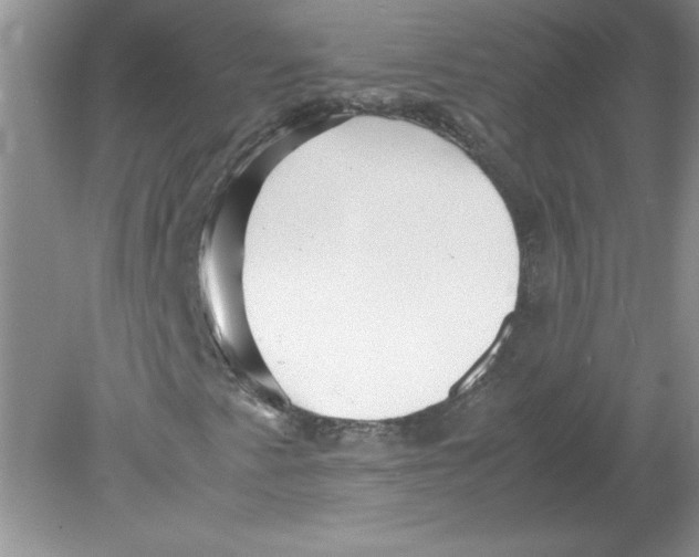 X0000078881345200612042013