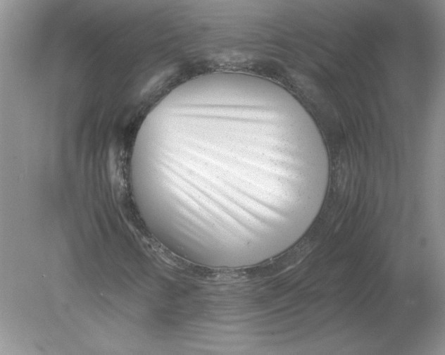 X0000078881346200612042013