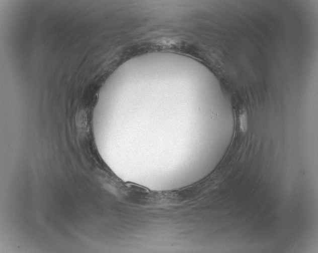 X0000078881347200612042013