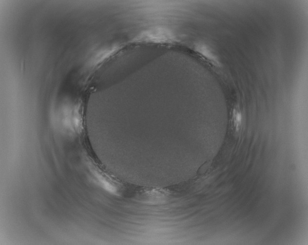 X0000078881348200612042013