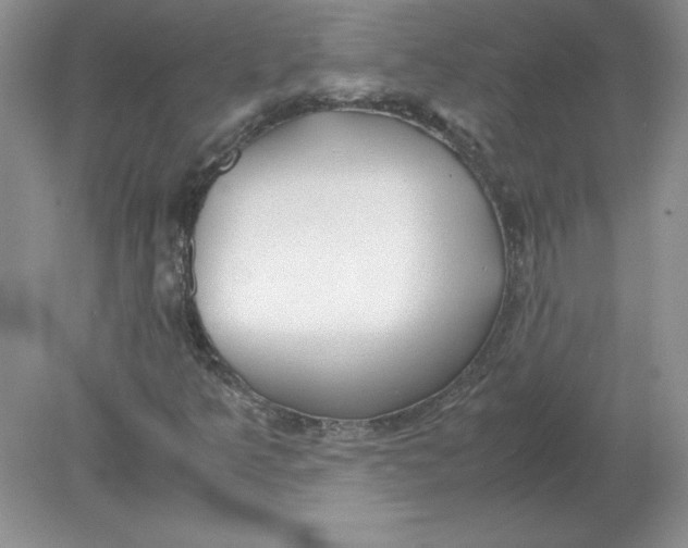 X0000078881349200612042013