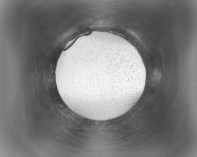 X0000078881350200612042013