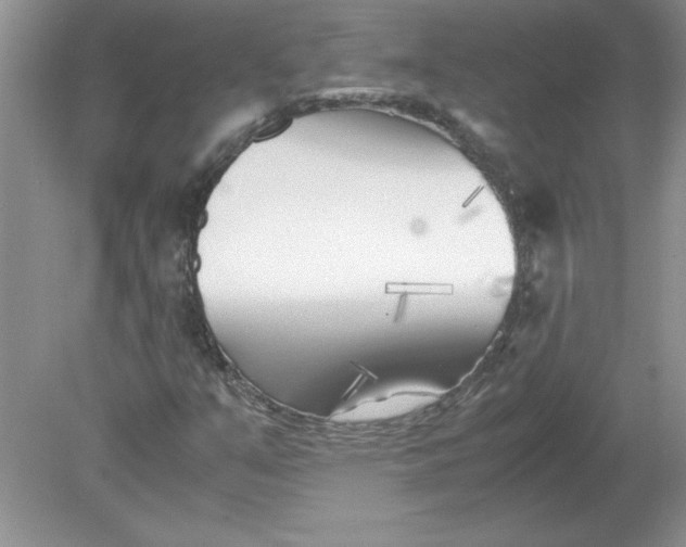 X0000078881351200612042013