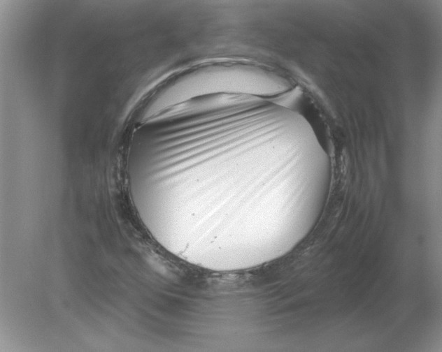 X0000078881352200612042013