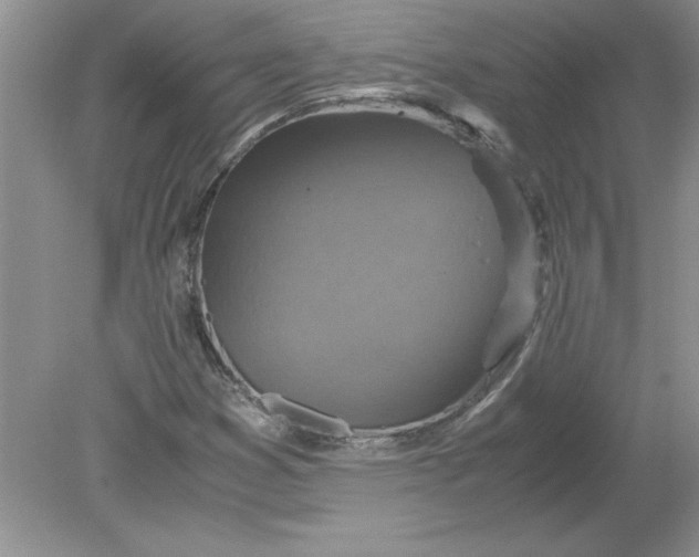 X0000078881353200612042013