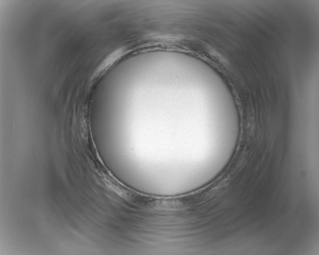 X0000078881354200612042013