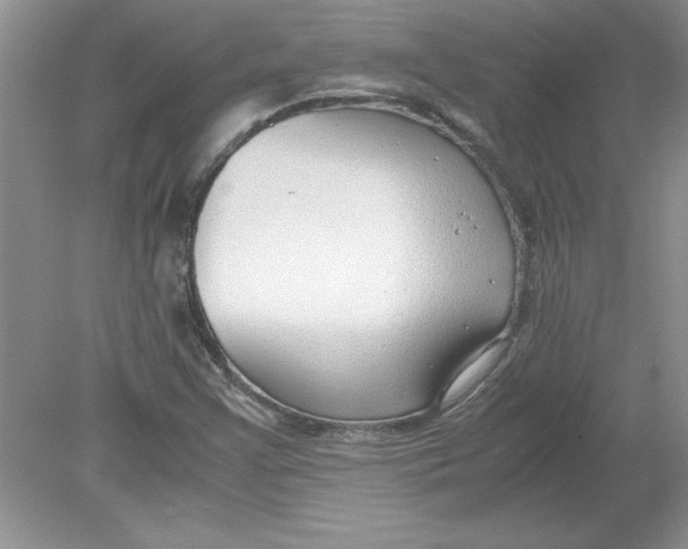 X0000078881355200612042013