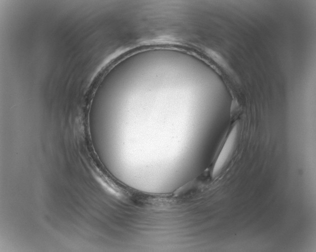 X0000078881356200612042013