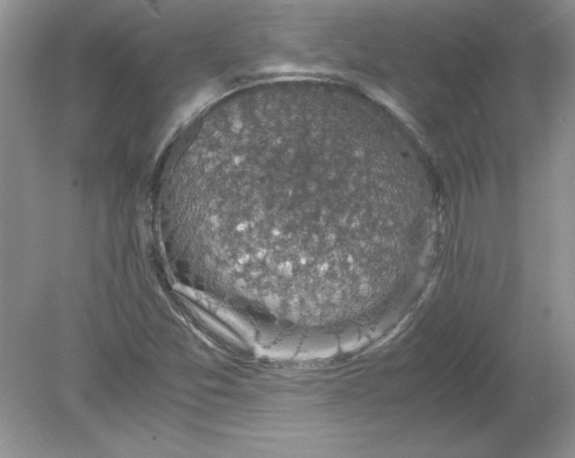 X0000078881357200612042013